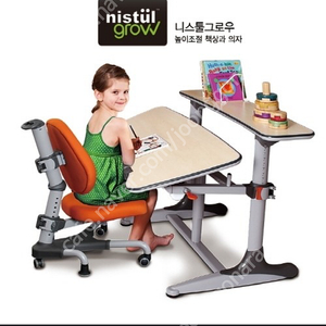 니스툴그로우 책상