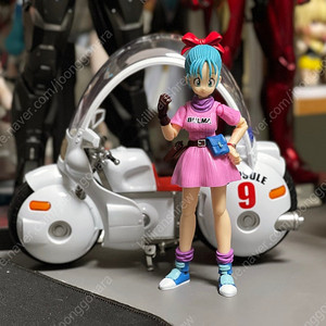 shf 호이포이 캡슐바이크, 부르마 판매합니다.