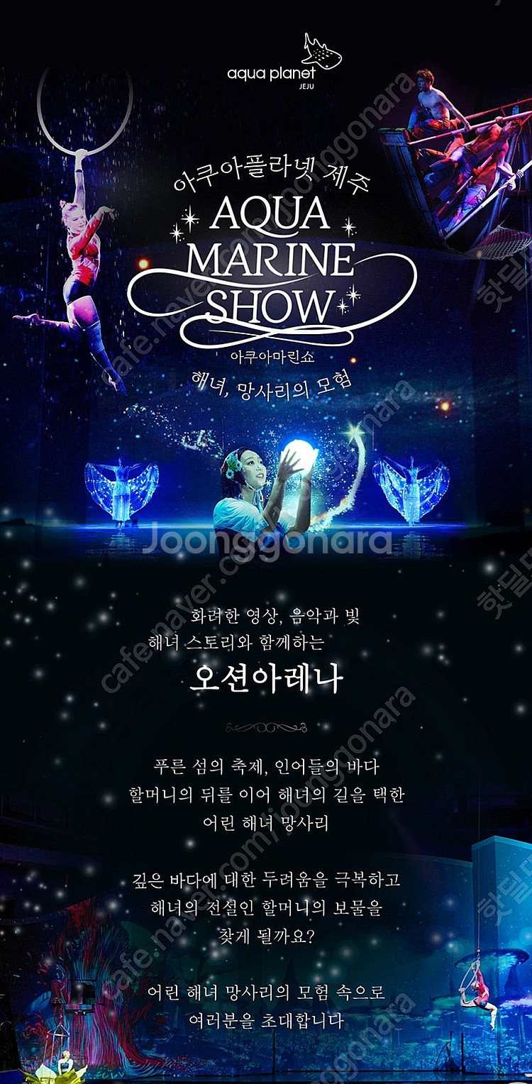 아쿠아플라넷 제주 입장권--0