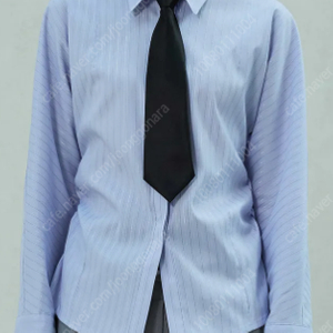아리셔츠블라우스[LOWELL SLIM FIT STRIPE SHIRRLING SHIRT]