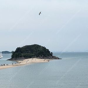(사요) 6/6 롯데 두산 3루 2/4연석