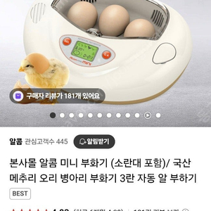 알콤 미니 부화기 팝니다