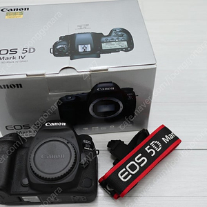 캐논 5D MARK4 [오막포] ,24-70 [형아계륵] ,24mm F1.4 [이사벨투] , 35mm F1.4 [사무엘투] , 40mm F1.4 [사식이] , 50.2 [오이만두]