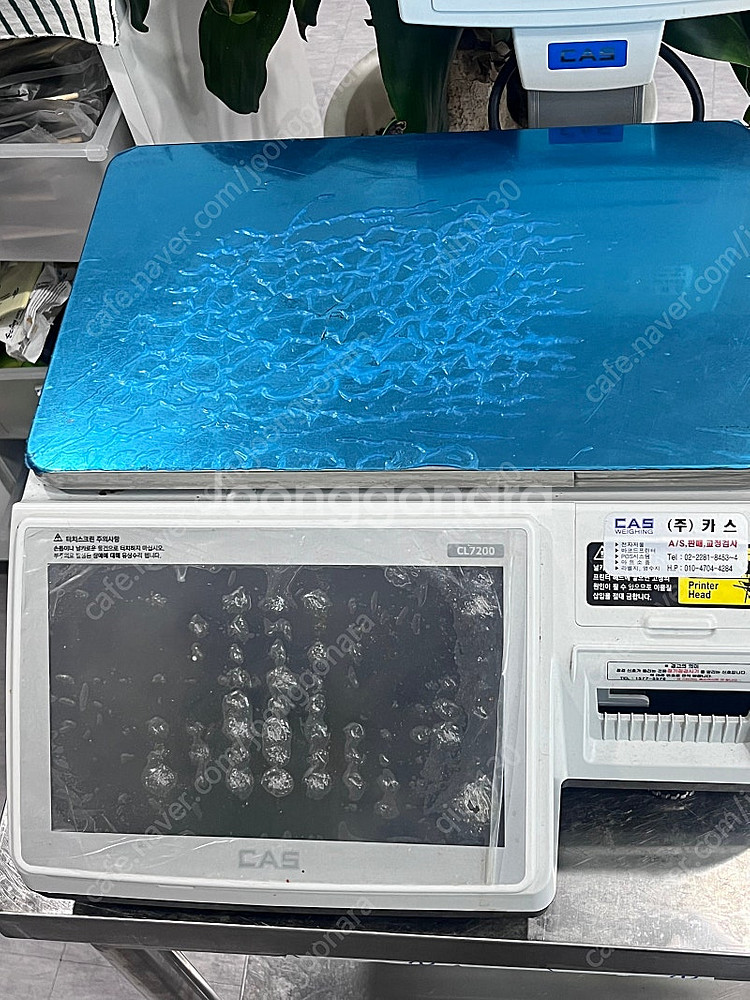 카스 정육 전자 저울 CL 7200-15--0