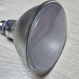 필립스 par38 15.5w 미광 햇볕 아래 식물등 판매
