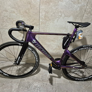 언노운 펄스 픽시 자전거