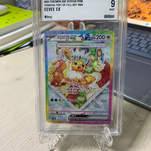 포켓몬스터 카드 테라스탈 페스타 이브이 케이크 brg 9등급