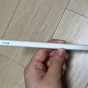 애플펜슬 2세대