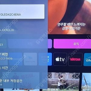 LG OLED42C4ENA 42인치 TV (17시간 사용) (새상품급컨디션)