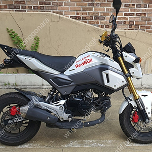 msx125(혼다)