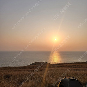 어썸홀리데이 래디언스2p ex 올리브 팝니다 컨디션좋음, 택포