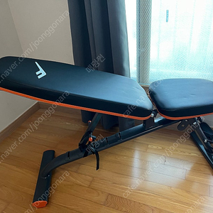 이고진 EX530 각도조절 벤치