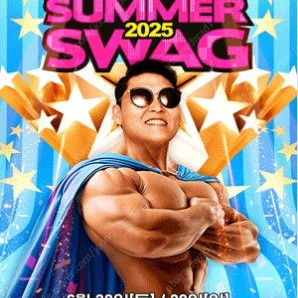 싸이흠뻑쇼 SUMMERSWAG2025 인천 서울 대전 부산