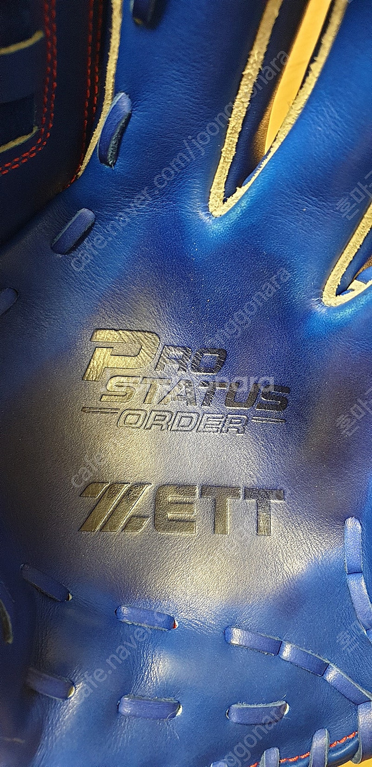 제트프로스테이터스 바스켓--8