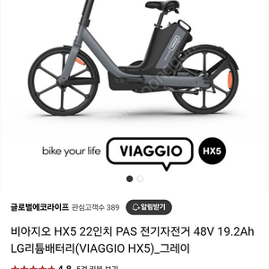 비아지오 HX5 전기 자전거