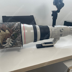 캐논 EF 800mm F5.6 IS USM