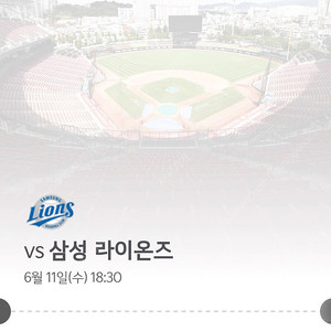 6/11 기아타이거즈 VS 삼성라이온즈 3루 가족석 6인