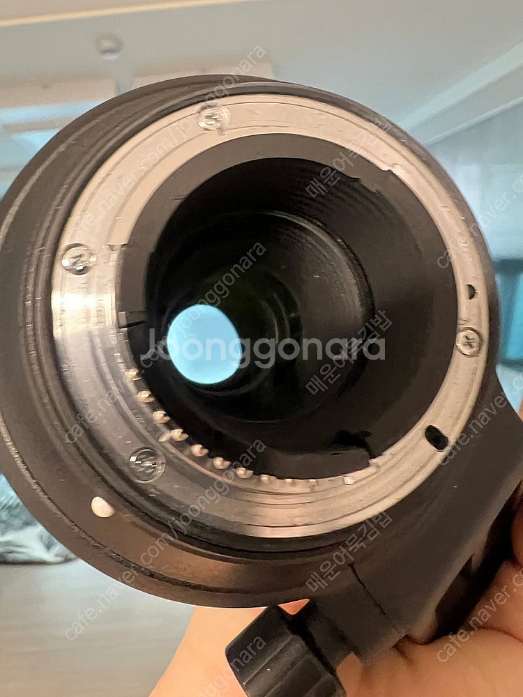 D750, 탐론 70-200 G2, 니콘 200-500...--9