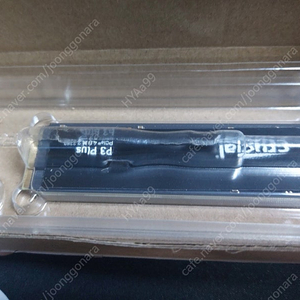 Crucial P3 PLUS 1TB M.2 2280