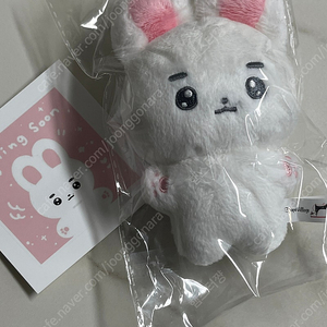 정해인 비공굿 인형 팔아요