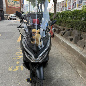 pcx 20년식 17000키로 팝니다