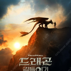 드래곤 길들이기 8천원