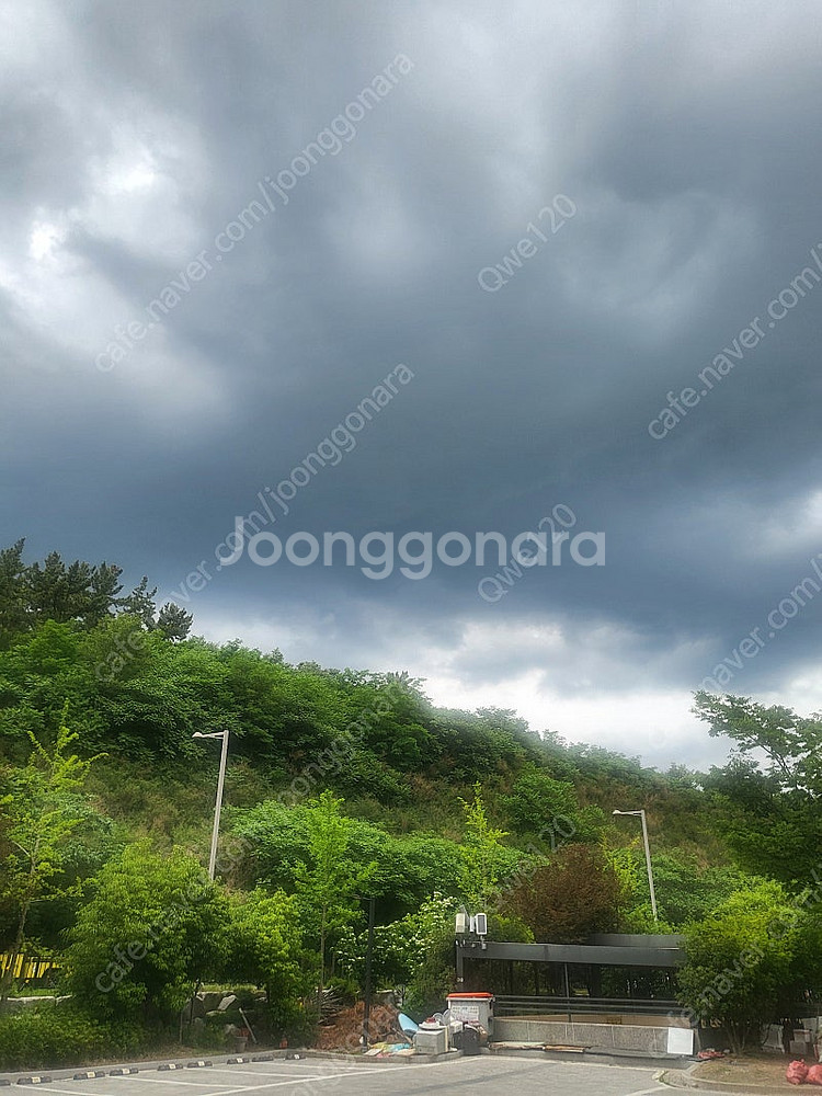 남도마켓 아이디 월대여해드려요--0