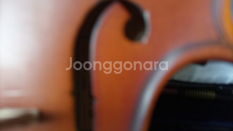 sandner 1/4 바이올린--9