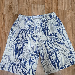 남아 블루테일 자라