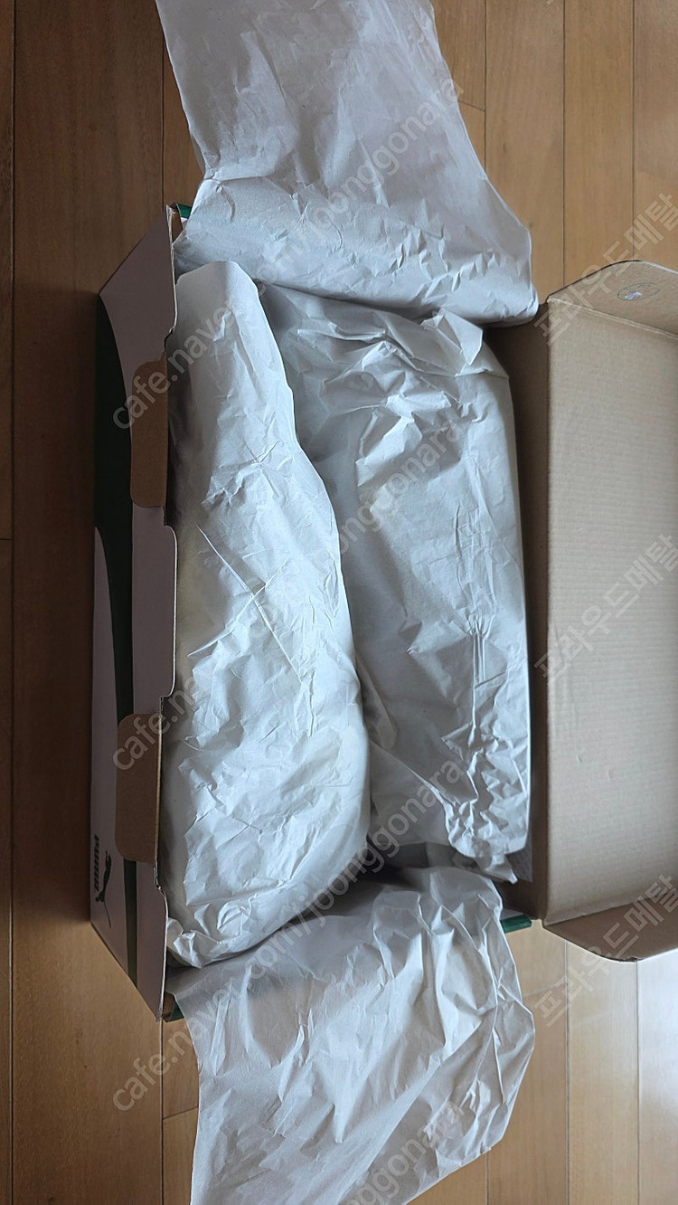 푸마 썬더 스펙트라 새상품 250mm 이미지