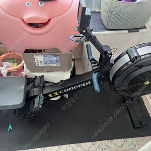 로잉머신 컨셉2(울산)