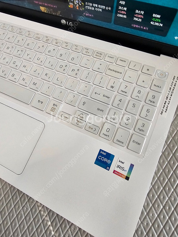 LG 그램 15Z95N-GR50K--5