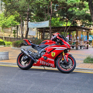 야마하 YZF-R6 떼르미뇨니 풀배기
