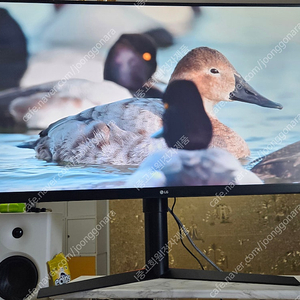LG전자 울트라기어 32GK850F / 32인치 QHD 144HZ LG게이밍모니터 팝니다​박스없어서 직거래만 합니다 와서 가져가주세요화면 잘나옵니다 문제 한번도 없었어요 초양품​모