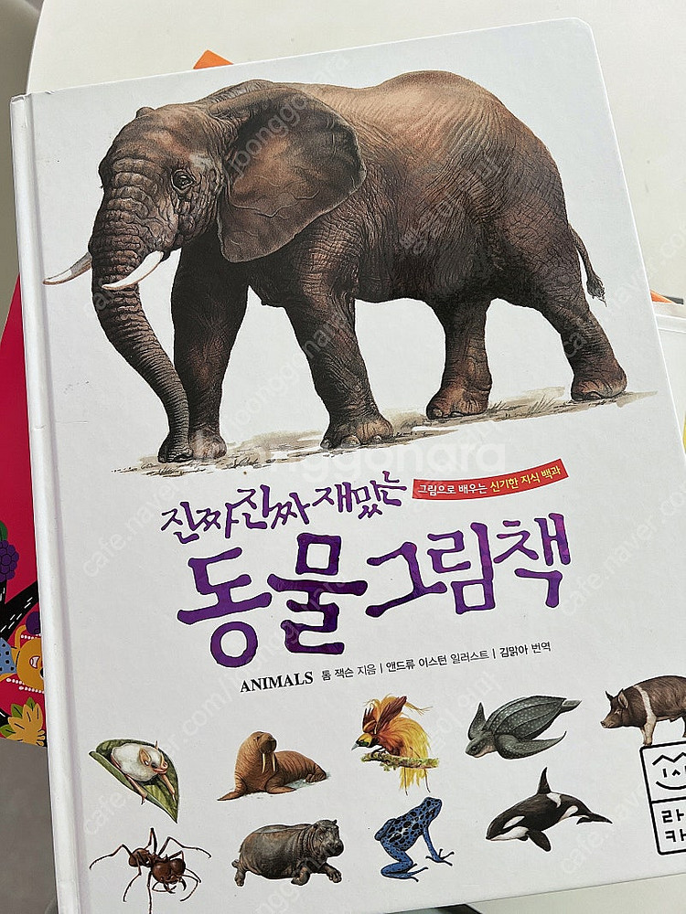 진짜 진짜 재밌는 동물 그림책--0