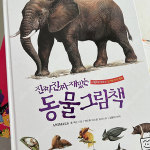 진짜 진짜 재밌는 동물 그림책