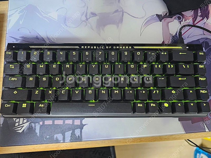 ASUS ROG FALCHION ACE HFX 키보드 ...--2