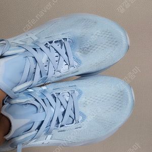 노바블라스트5라이트쇼
