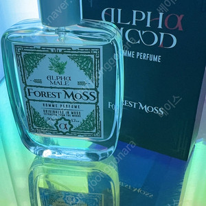 알파무드 포레스트모스50ml
