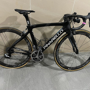 피나렐로 도그마 F8 판매