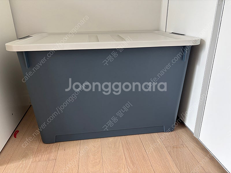 아이링고--3
