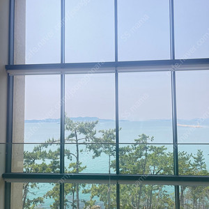Kt 인터넷 승계 하실분