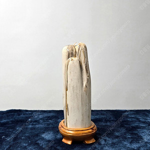 나무화석 규화목 좌대석