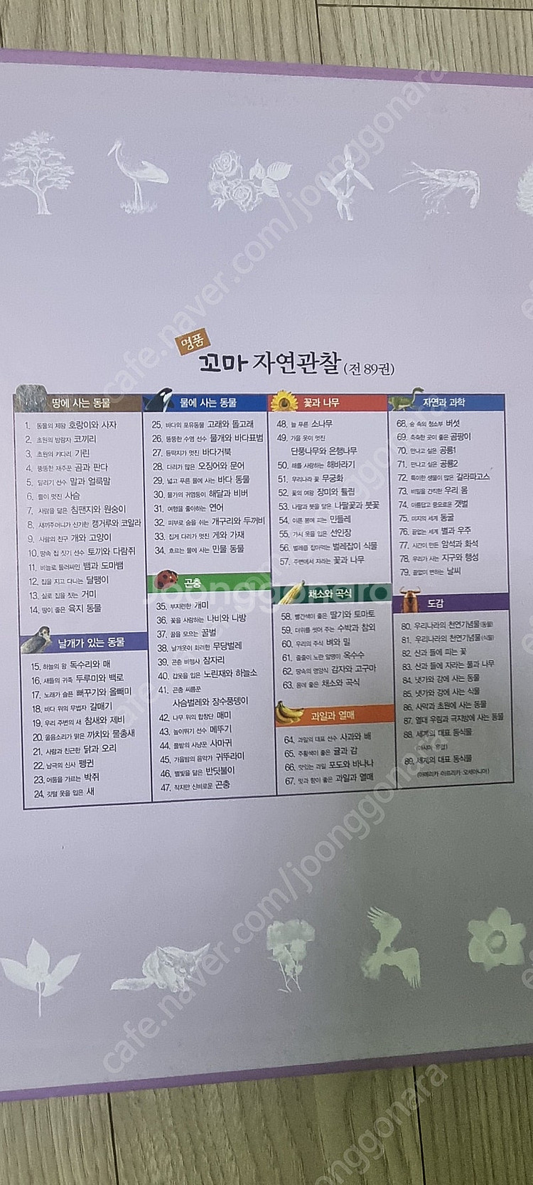 명품꼬마자연관찰89권 전권--1