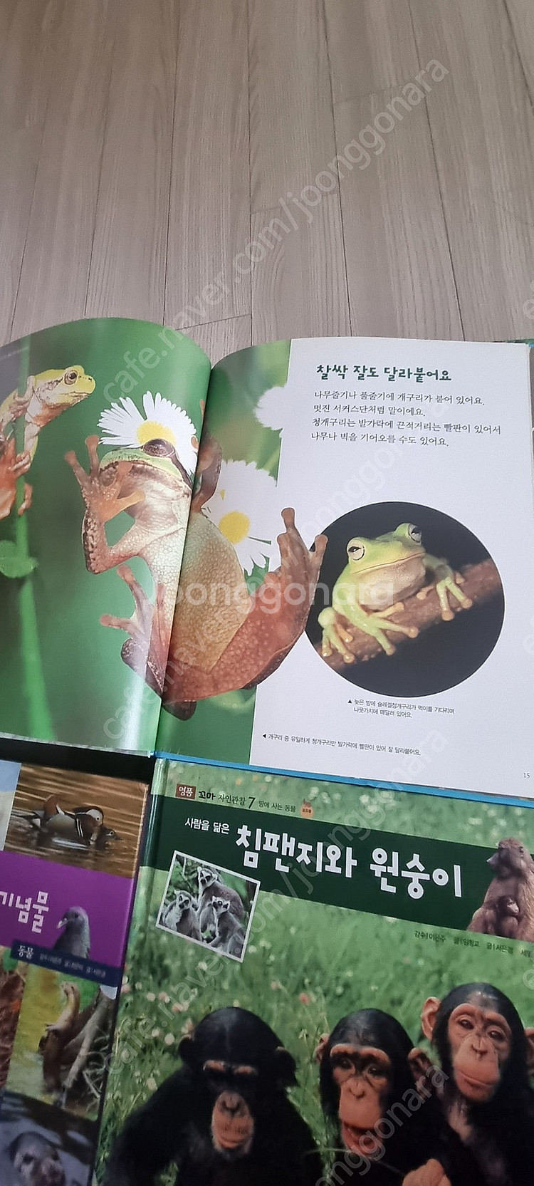 명품꼬마자연관찰89권 전권--3