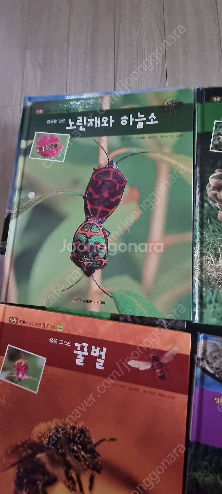 명품꼬마자연관찰89권 전권--5