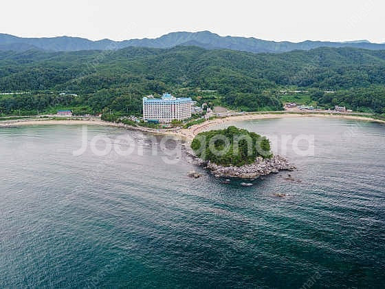 금강산콘도 6월7일~8일 오션뷰 리모델링방 1박 양도--0