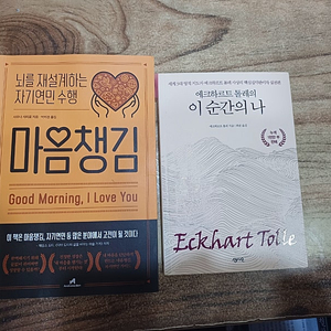 에크하르트 톨레의 (이순간의 나 )/ 마음챙김 (제임스