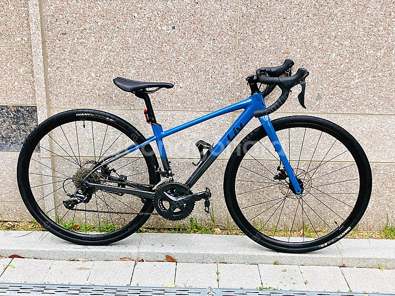 자이언트 리브 어베일 AR3 2023 로드--1