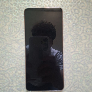 S21+ 플러스